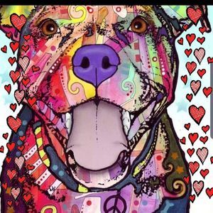 Meet your Posher, Misty